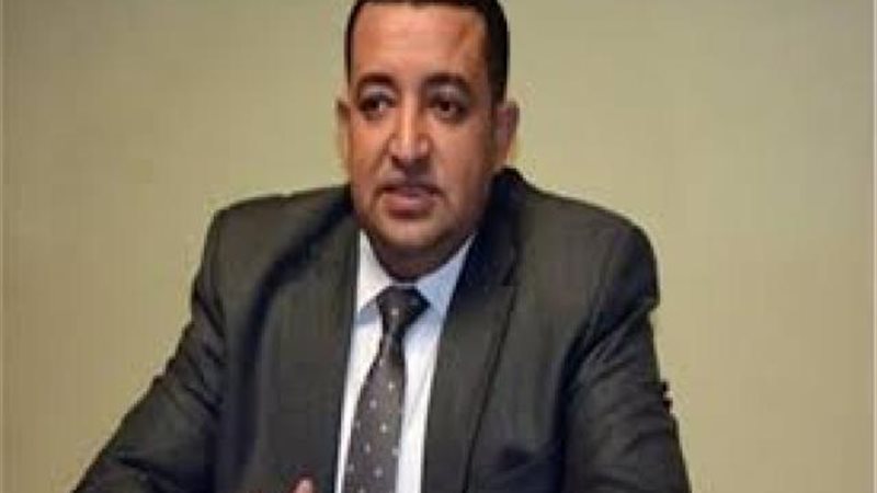 النائب تامر عبدالقادر