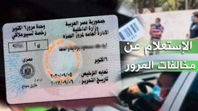 في دقائق ومن البيت.. طريقة الاستعلام عن مخالفات المرور برقم اللوحة 2024