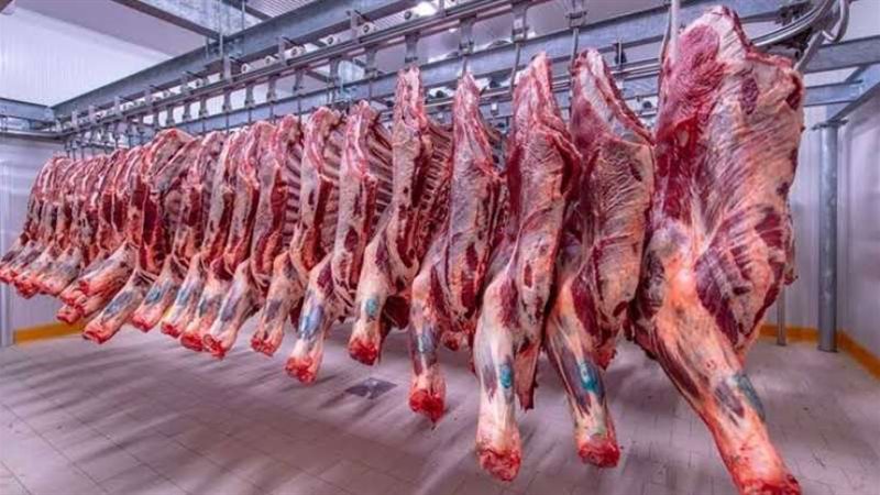 اسعار اللحوم اليوم
