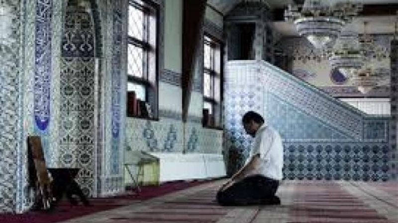 الموجز