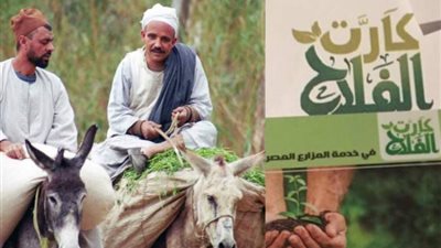 بعد انتهاء وزارة الزراعة من المنظومة.. شروط وخطوات الحصول على كارت الفلاح
