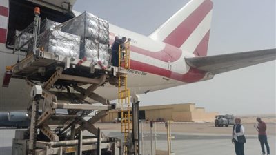 تنفيذا لتوجيهات الرئيس السيسي .. مصر تواصل دعم الأشقاء في غزة بالمساعدات الإنسانية