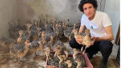 يوسف العدلي.. معلومات عن أصغر رجل أعمال في مصر وحادث موته الأليم (صور)