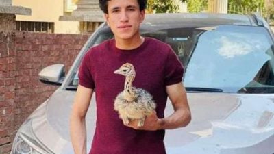 موته صدم الجميع.. حكاية يوسف أصغر مربي نعام في مصر