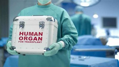 ”طفل للبيع ” محاكمة فتاتين غداً بتهمة الإتجار بالبشر بعد عرضهم طفل للبيع