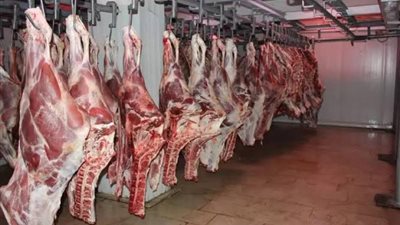 أسعار اللحوم اليوم الأربعاء 15-5-2024 في الأسواق والمنافذ الحكومية