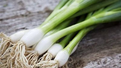 البصل الأخضر.. الحل السحري لخفض مستوى السكر في الدم