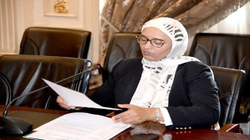 النائبة أميرة أبوشقة