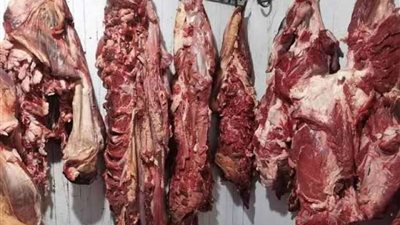 ”لونها اخضر”  بعد ضبط  600 كيلو من اللحوم الفاسدة ازاي تعرفها ؟