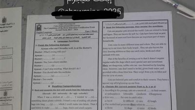 نموذج إجابات امتحانات الشهادة الإعدادية 2024 في مادة اللغة الإنجليزية محافظة القاهرة