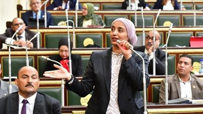 النائبة أميرة أبوشقة: لم يبق أمام الحكومة سوى خصخصة الشعب