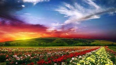 صفة مهجورة.. تجعلك من أهل الجنة و تحرمك على النار