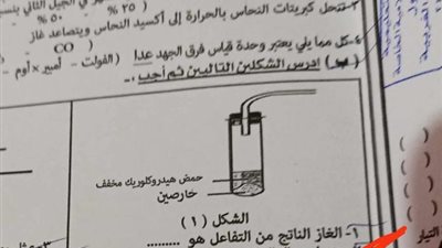 داليا الحزاوي:  شكاوي بسبب سؤال خارج منهج علوم القاهرة في امتحانات الشهادة الإعدادية