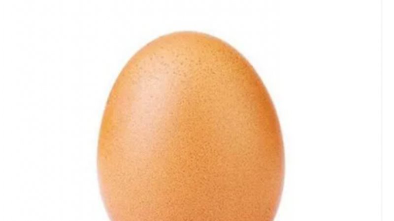 بيضة