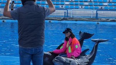 أصدقائي الطيبين.. بشرى تستمتع بقضاء إجازتها مع الدلافين