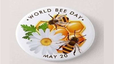 في اليوم العالمي للنحل 2024.. ما هي فوائد العسل على الصحة؟