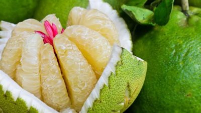 كل ما تريدين معرفته عن فوائد البوملي الصحية