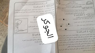التربية الفنية جيزة.. إجابات امتحانات الشهادة الإعدادية 2024