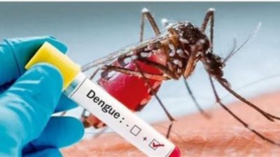 لقاح جديد لحمى الضنك.. اعرف التفاصيل