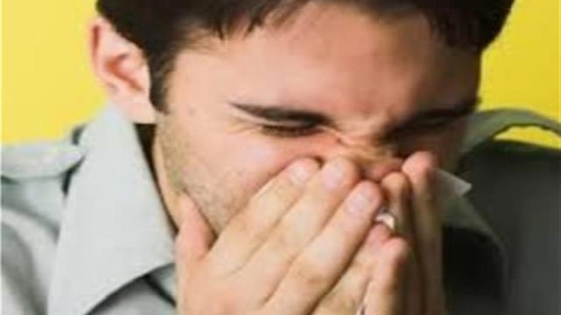 الموجز