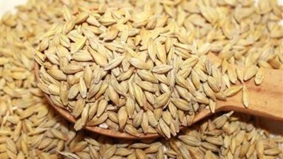 أسعار الأرز الشعير اليوم 27-5-2024 في مصر