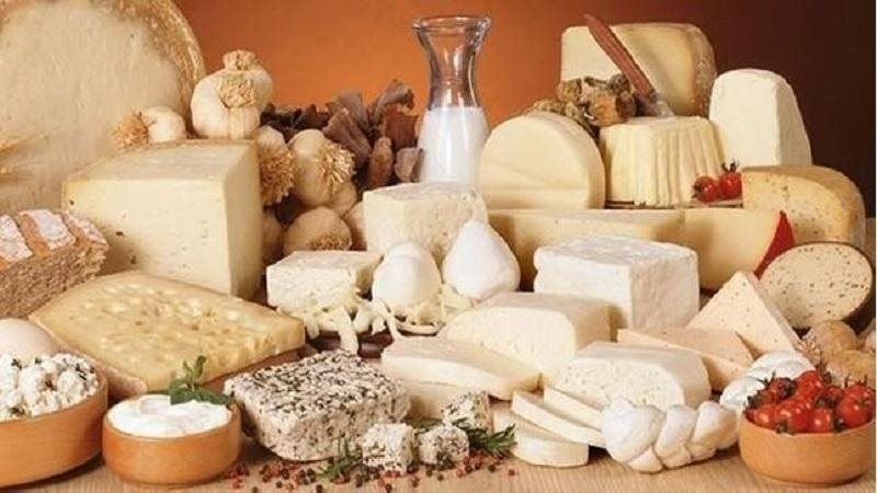 أسعار منتجات الجبن