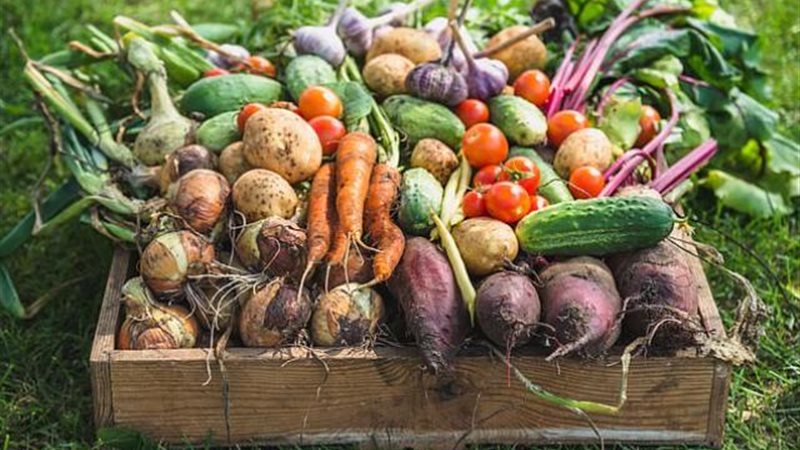 البطاطا الحلوة والبرتقال