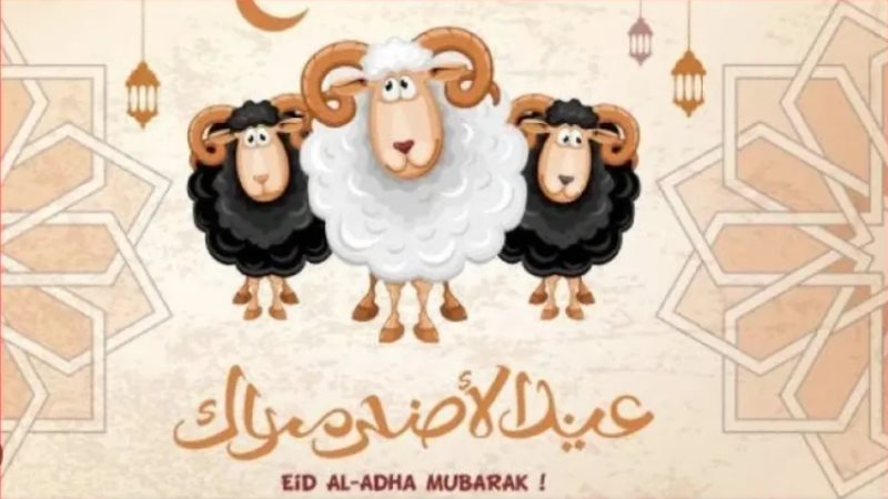 عدد أيام عطلة عيد