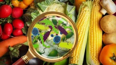 التسمم الغذائي.. طرق الوقاية والأعراض