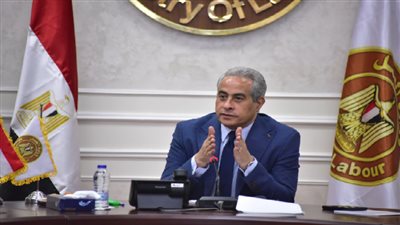 العمل: حملة توعوية بأحكام القانون والاتفاقيات الدولية بالمنطقة الصناعية ببورسعيد