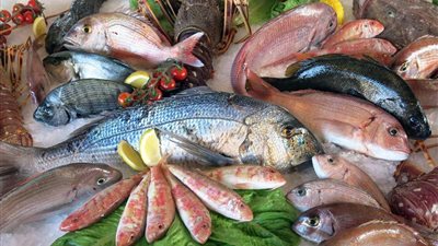 أسعار الأسماك اليوم الخميس 30-5-2024 في الأسواق