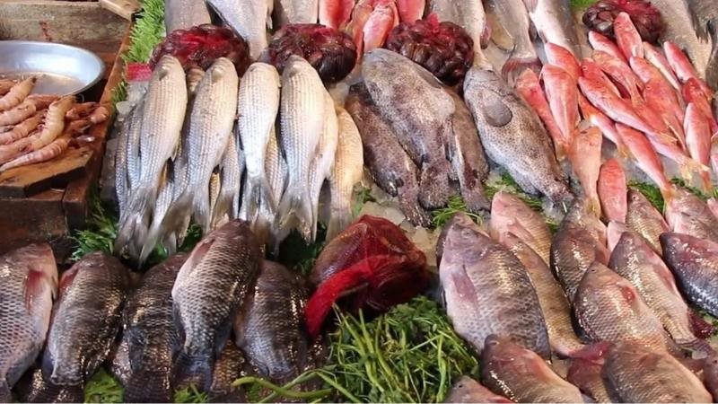 أسعار الأسماك