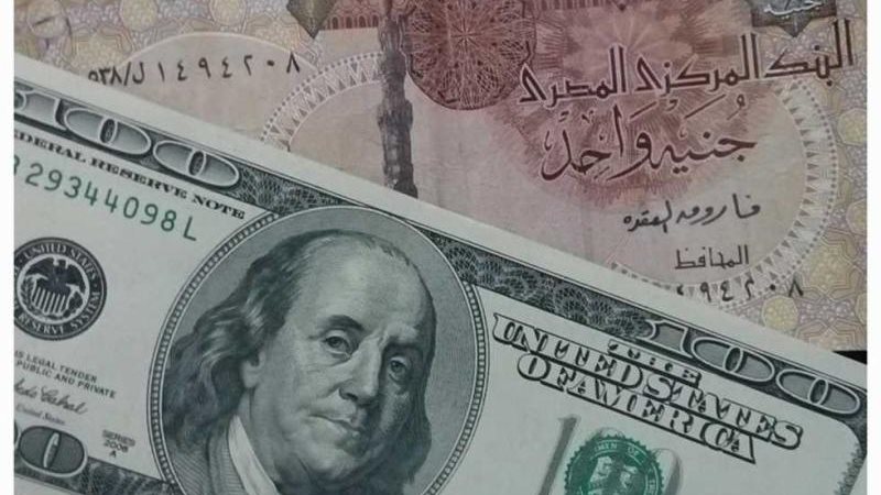 سعر الدولار اليوم