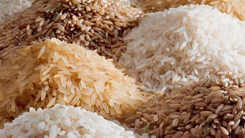 اسعار الارز الشعير