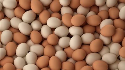 اسعار البيض اليوم.. اعرف ثمن البيضة الواحدة وسعر الكرتونه