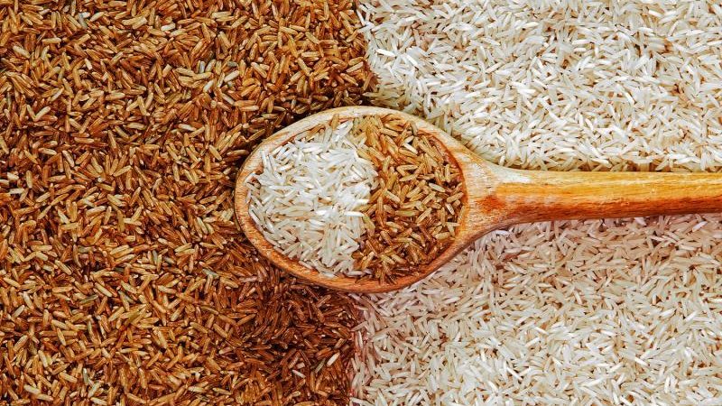 سعر الأرز الشعير