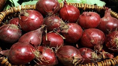 مفاجأة سعيدة للمواطنين.. انخفاض أسعار البصل في هذا الموعد