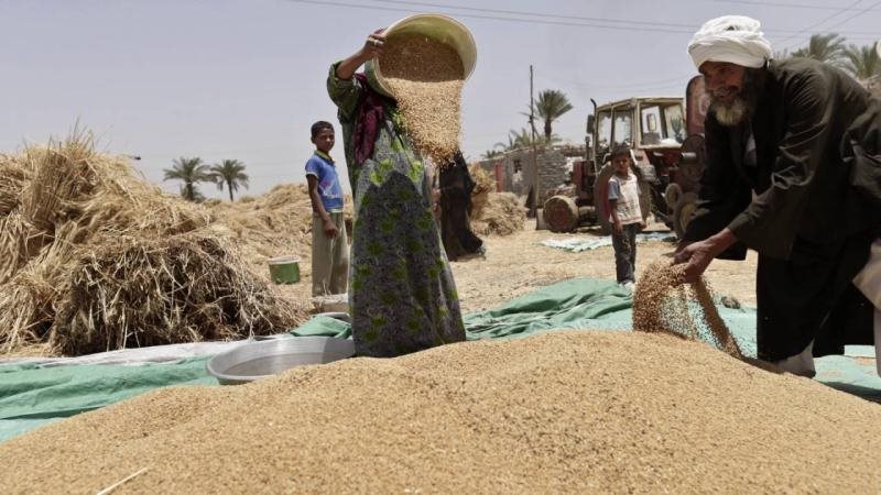 رفع الدعم عن الأسمدة