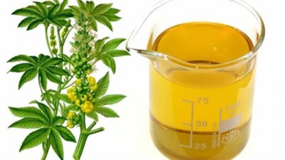 وداعًا لأمراض الجهاز الهضمي مع «زيت الخروع»