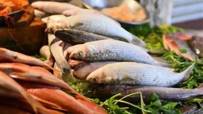 مفاجأة بشأن أسعار الأسماك اليوم الاثنين 3-6-2024 قبل عيد الأضحى