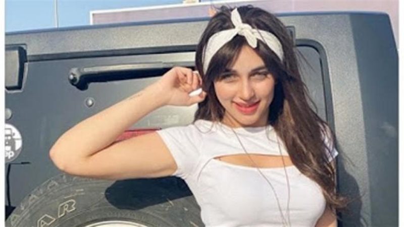 الموجز