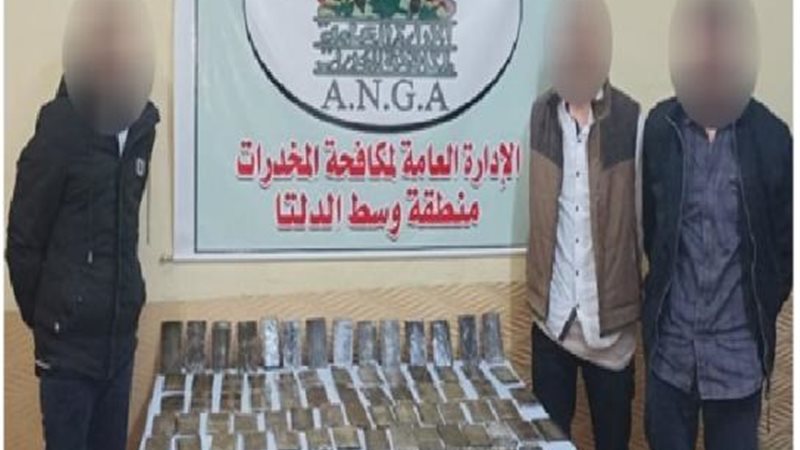 الموجز