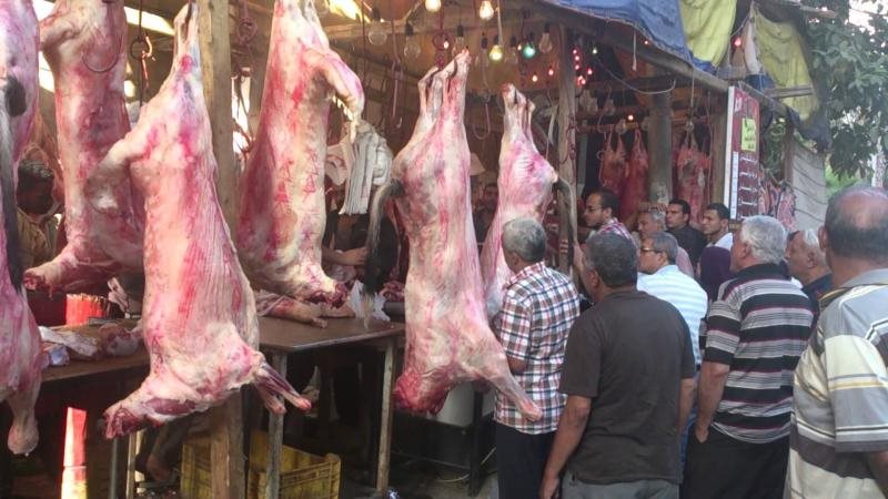اسعار اللحوم اليوم
