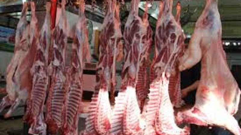 اسعار اللحوم اليوم