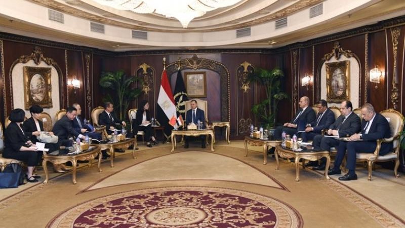 إستقبل السيد/ محمود