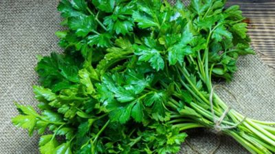 البقدونس .. الحل السحري لأمراض عديدة