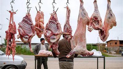”تبدأ من 155” انخفاضا هائلا في أسعار اللحوم بمنافذ وزارة الزراعة