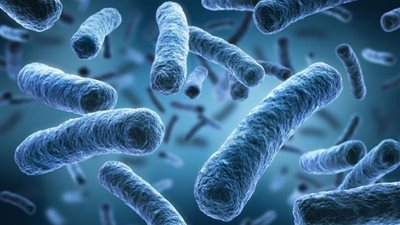 بعد تفشيها... تعرّف على أعراض وأسباب الإصابة بـ ”بكتيريا الإشريكية القولونية” القاتلة