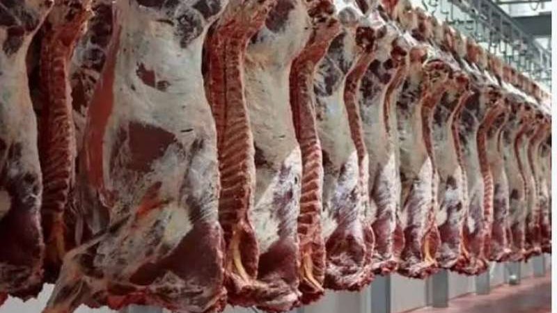 تراجع في أسعار اللحوم