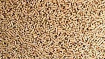 أعلاف الإيمان بكام.. أسعار الأعلاف اليوم السبت 15 يونيو 2024 قبل إجازة العيد